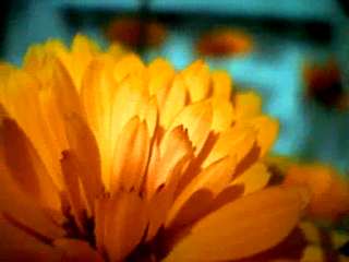 blueme